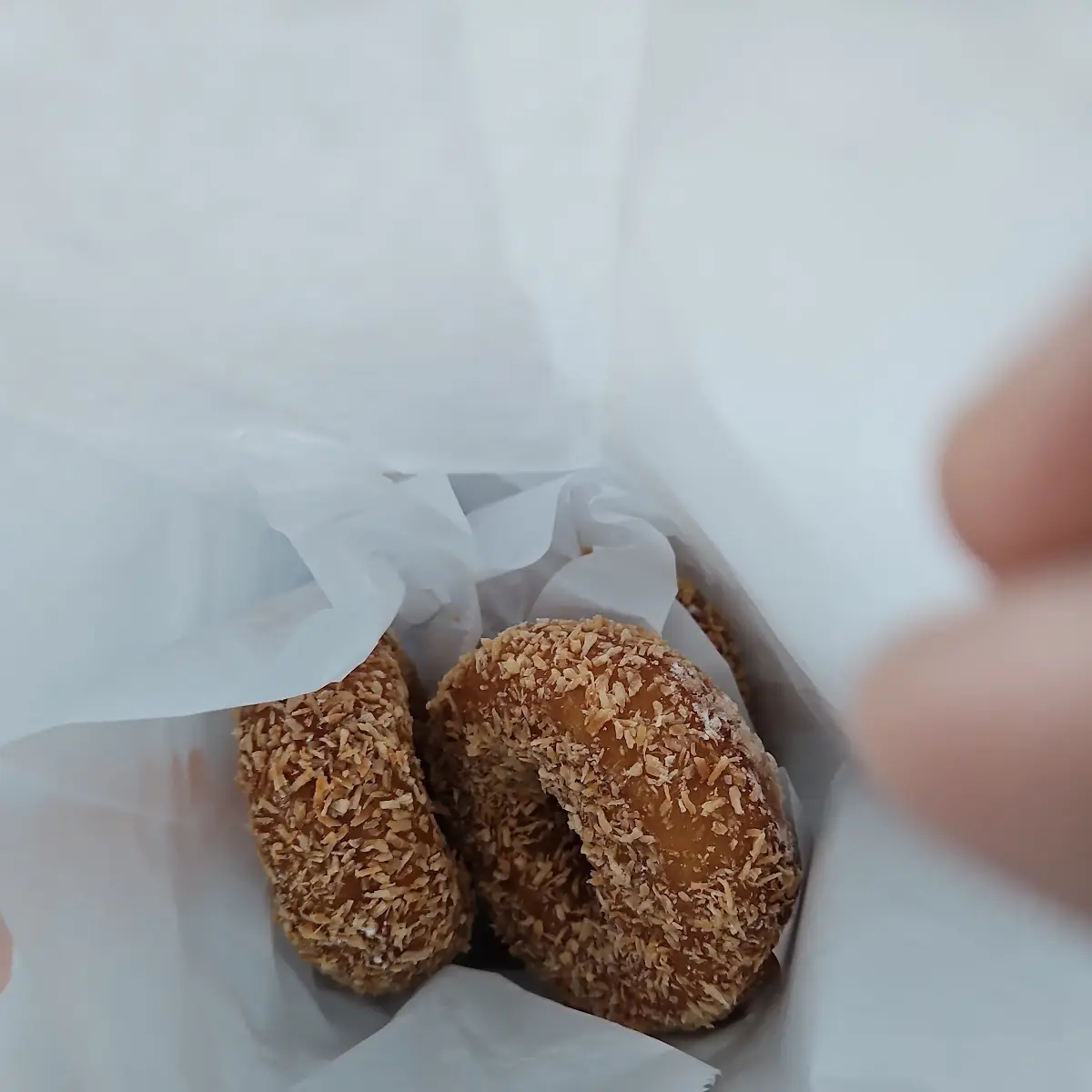 Toasted Coconut Doughnuts