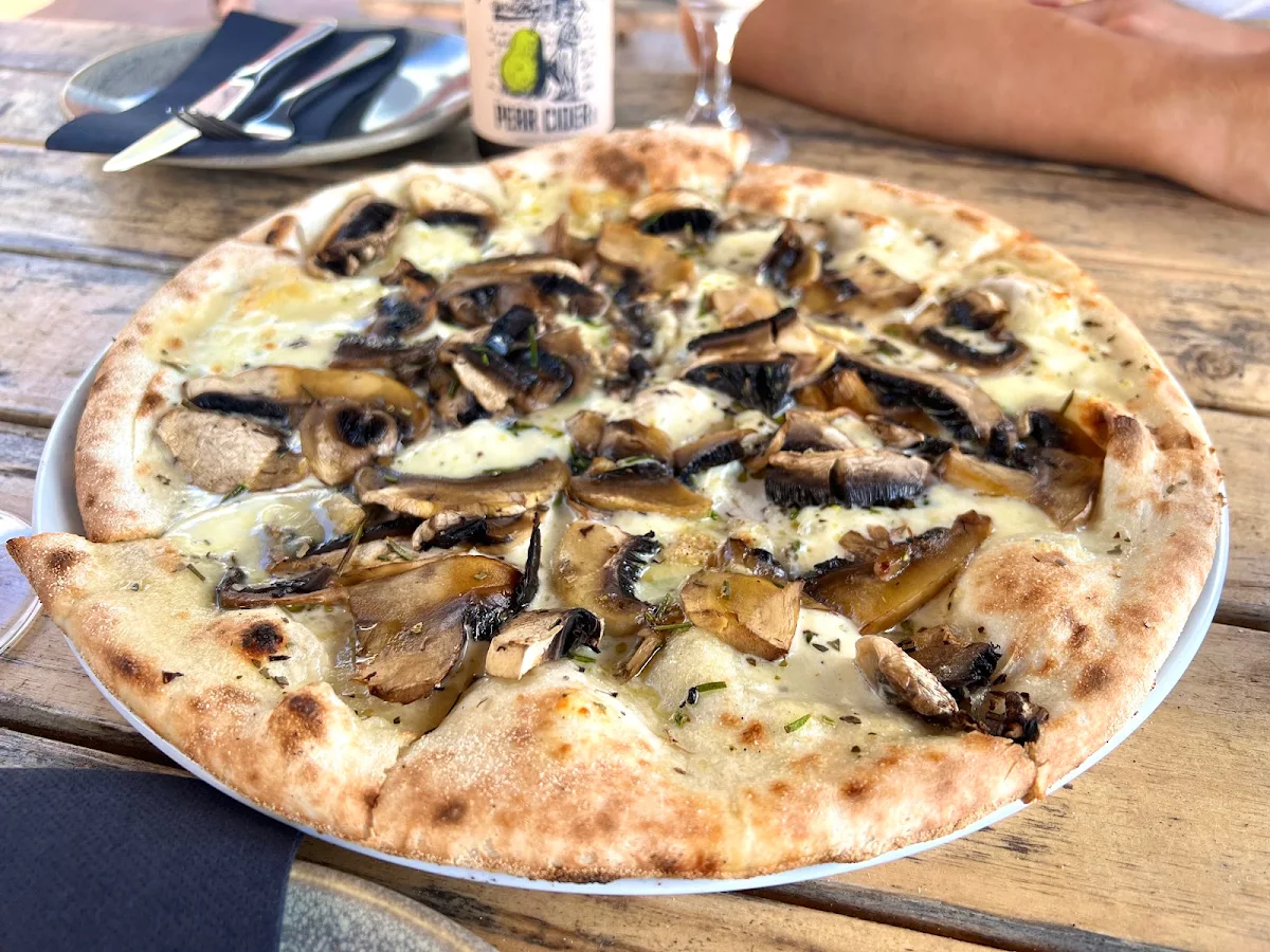 Funghi Pizza, Volpino Pizzeria and Wine Bar