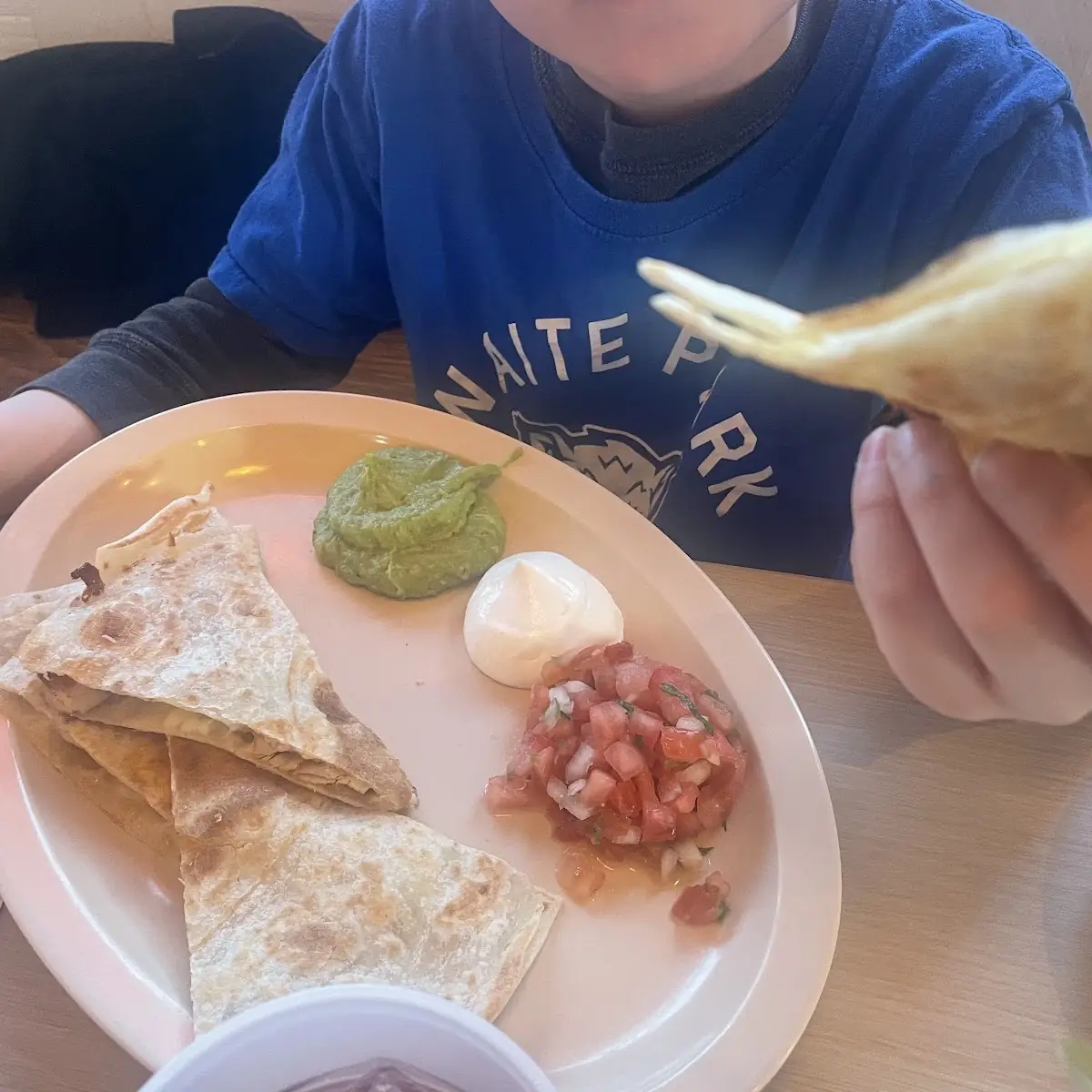 Cheese Quesadilla with Chicken