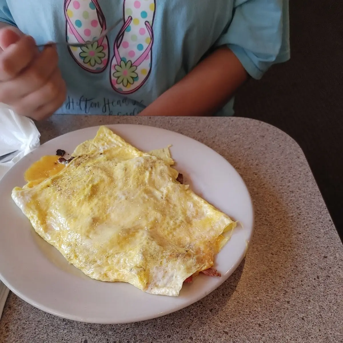 Philly Cheesesteak Omelette