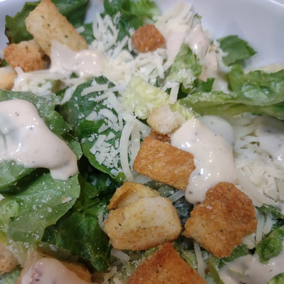 Caesar Salad Premium