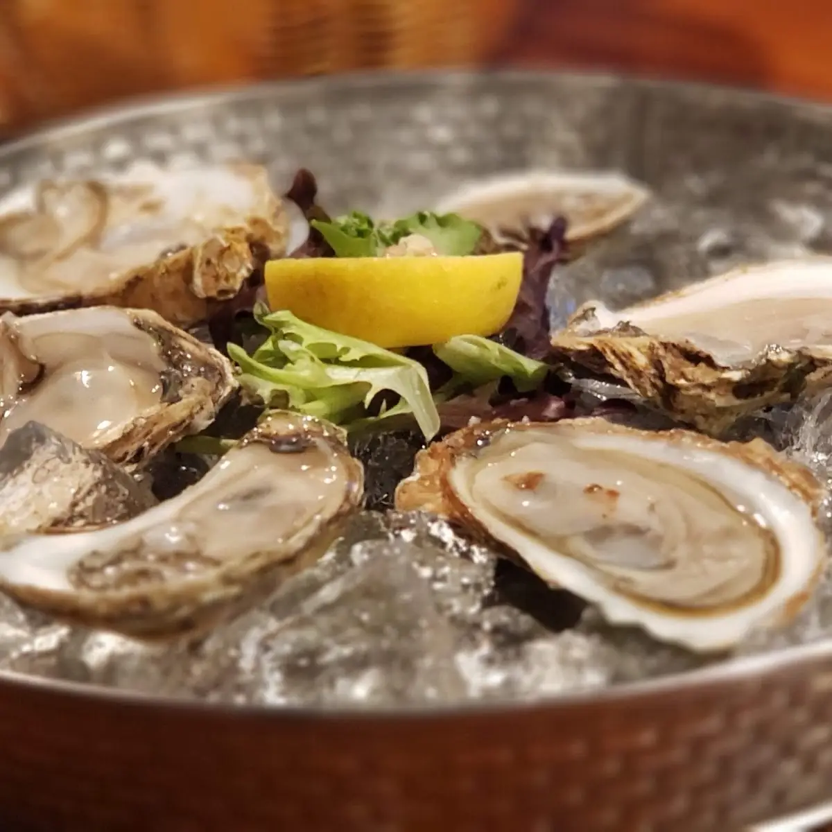 Dozen Oysters on the Half Shell