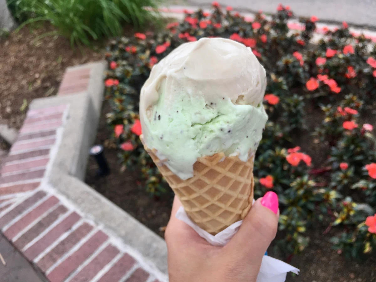 Mint Chocolate Chip