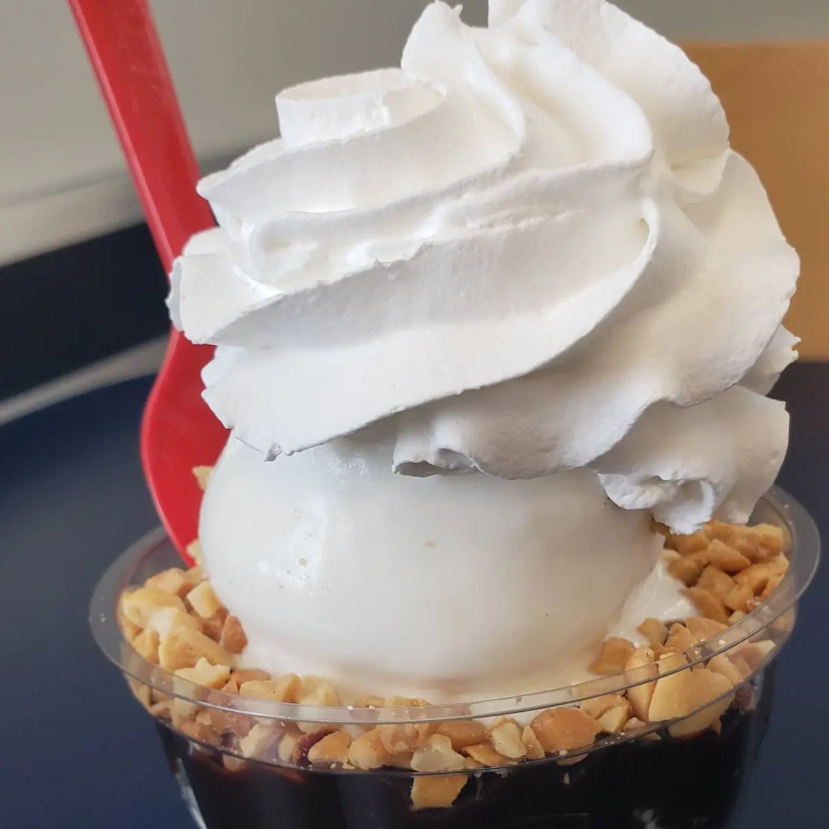Small Hot Fudge Sundae