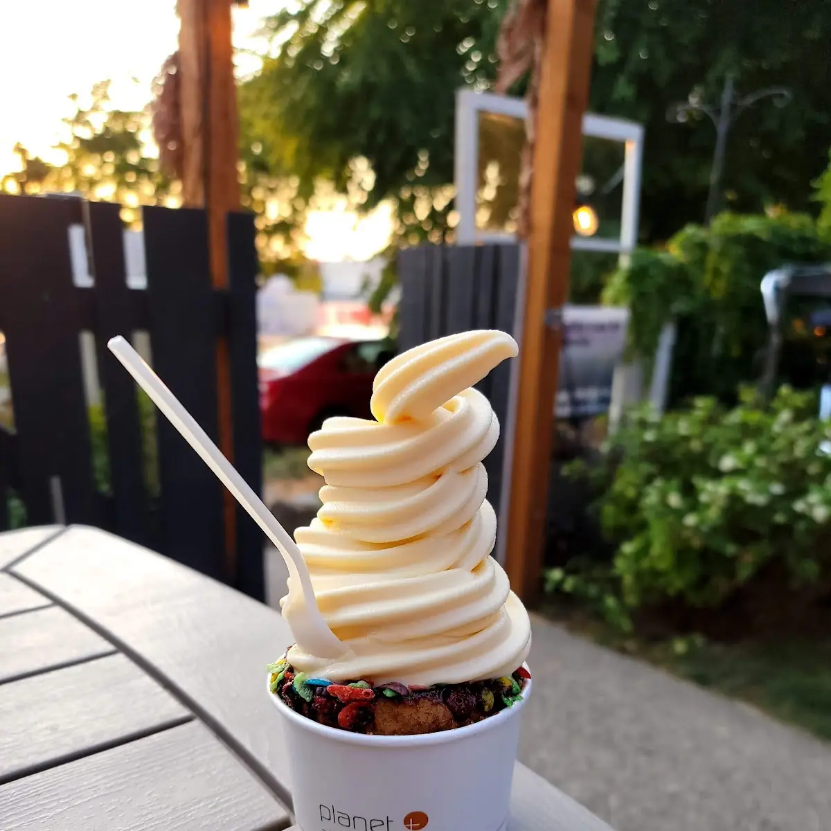 Frozen Yogurt