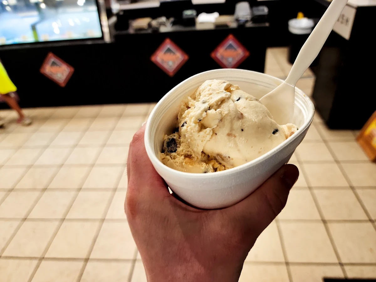 Chocolate Chip Cookie Dough with Sea Turtle