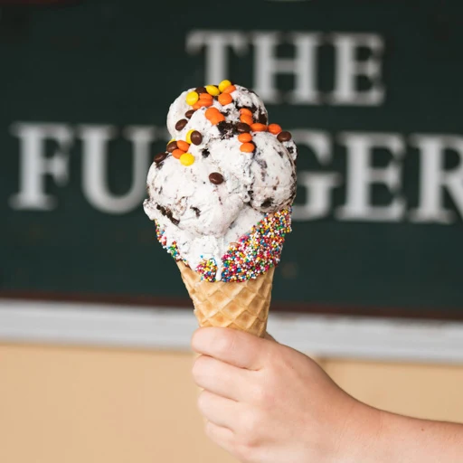 Hand Dipped Ice Creams
