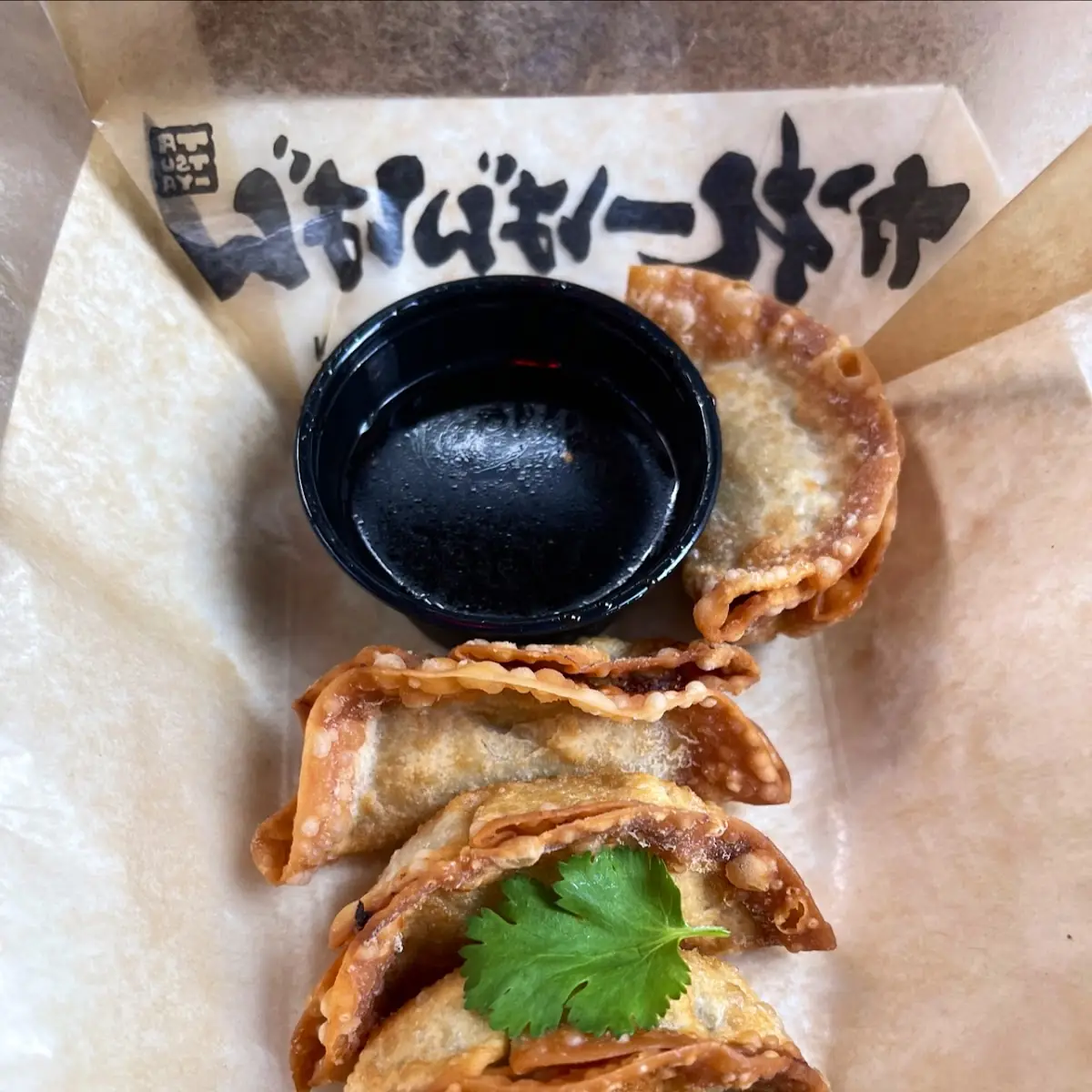 Fried Gyoza