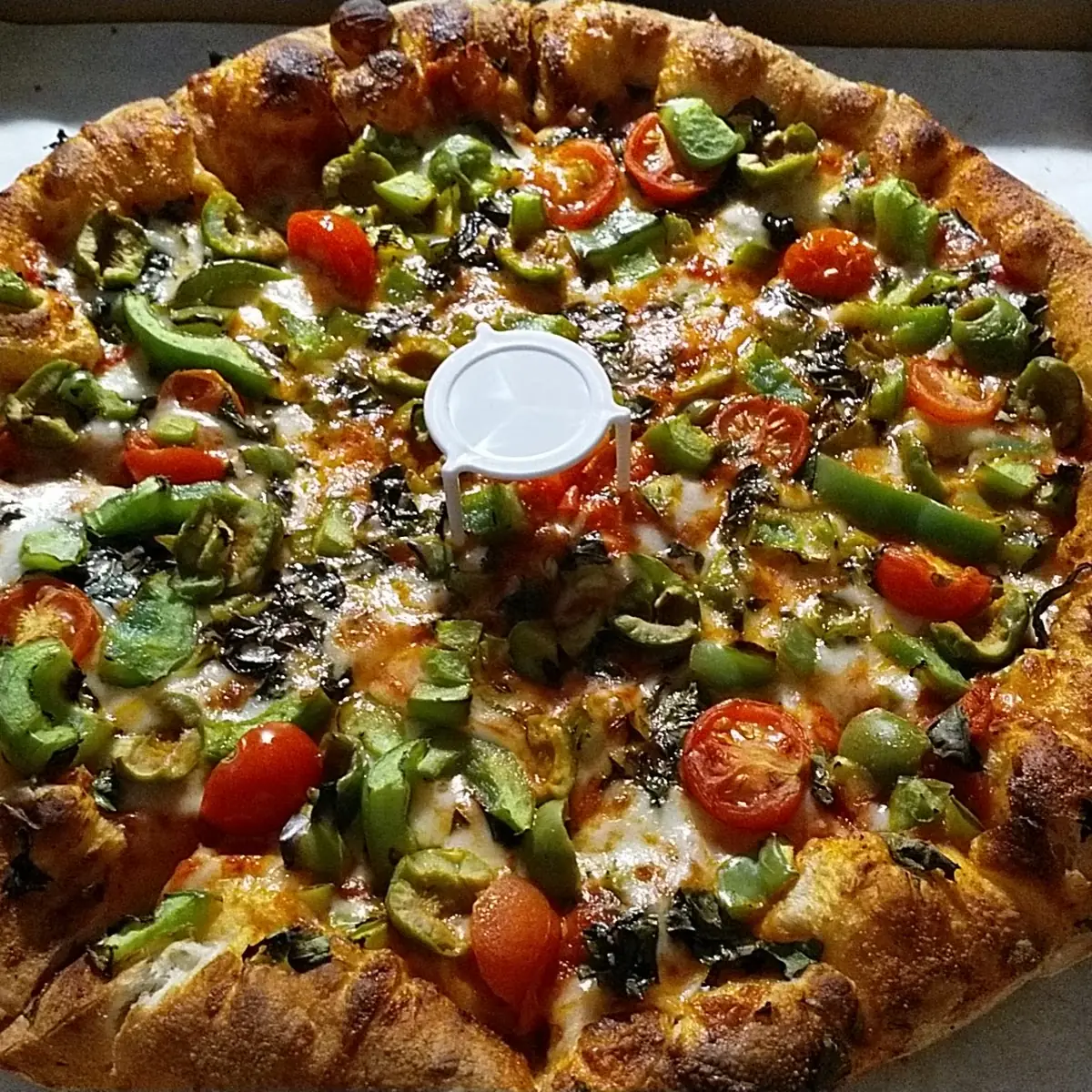 Veggie Pizza