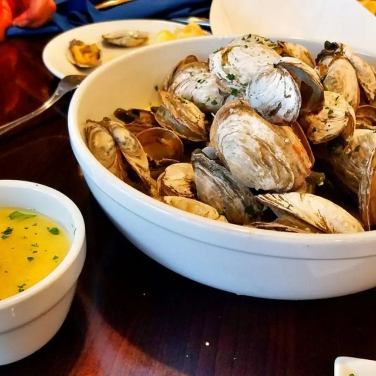Steamed Clams