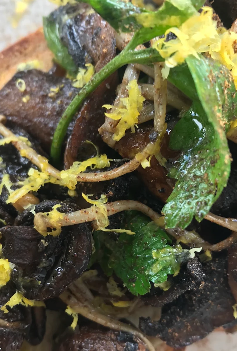 Pickled Pear, Modus Coffee