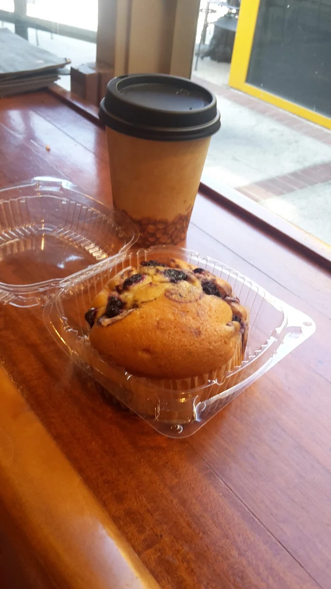 Blueberry Muffin