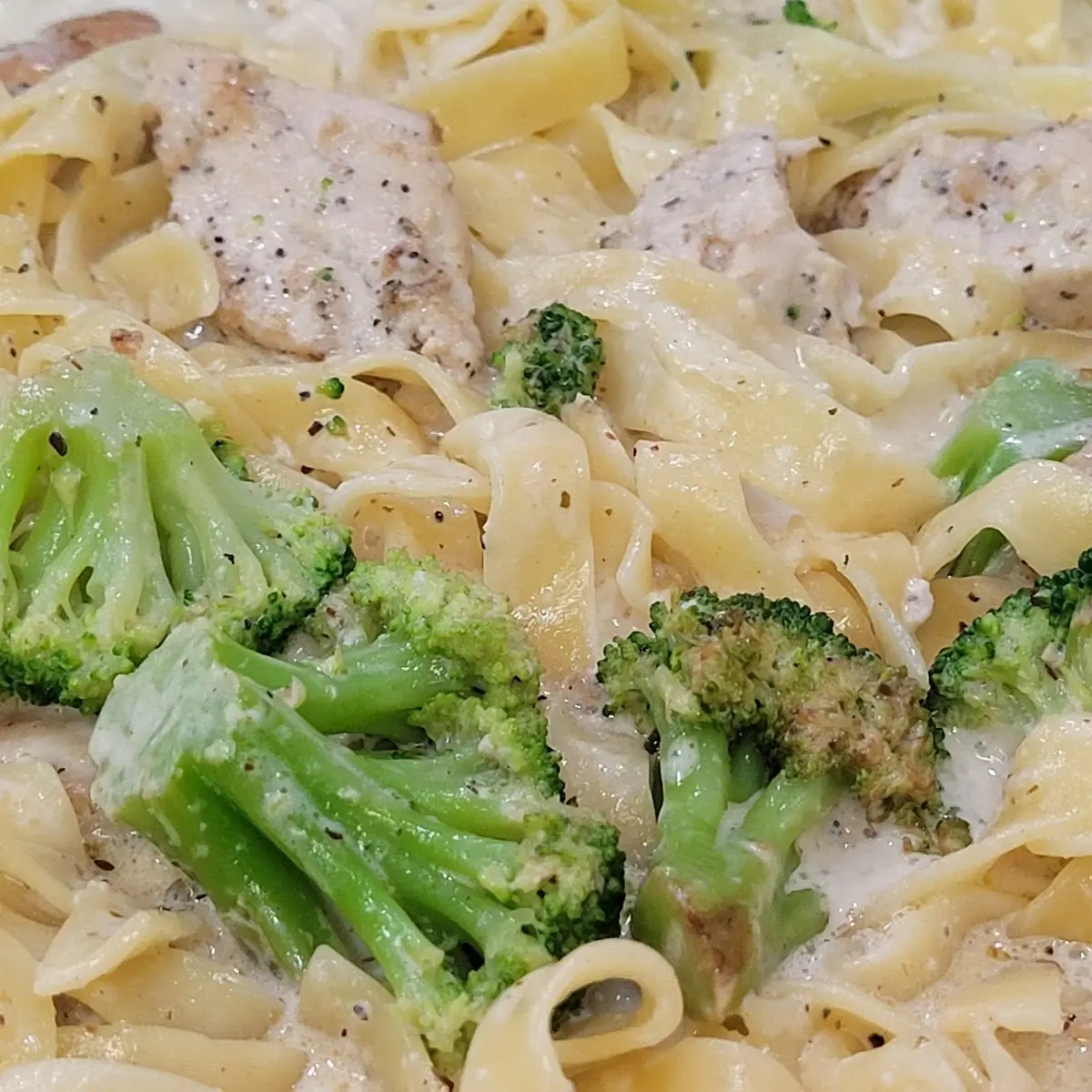 Chicken Broccoli Alfredo