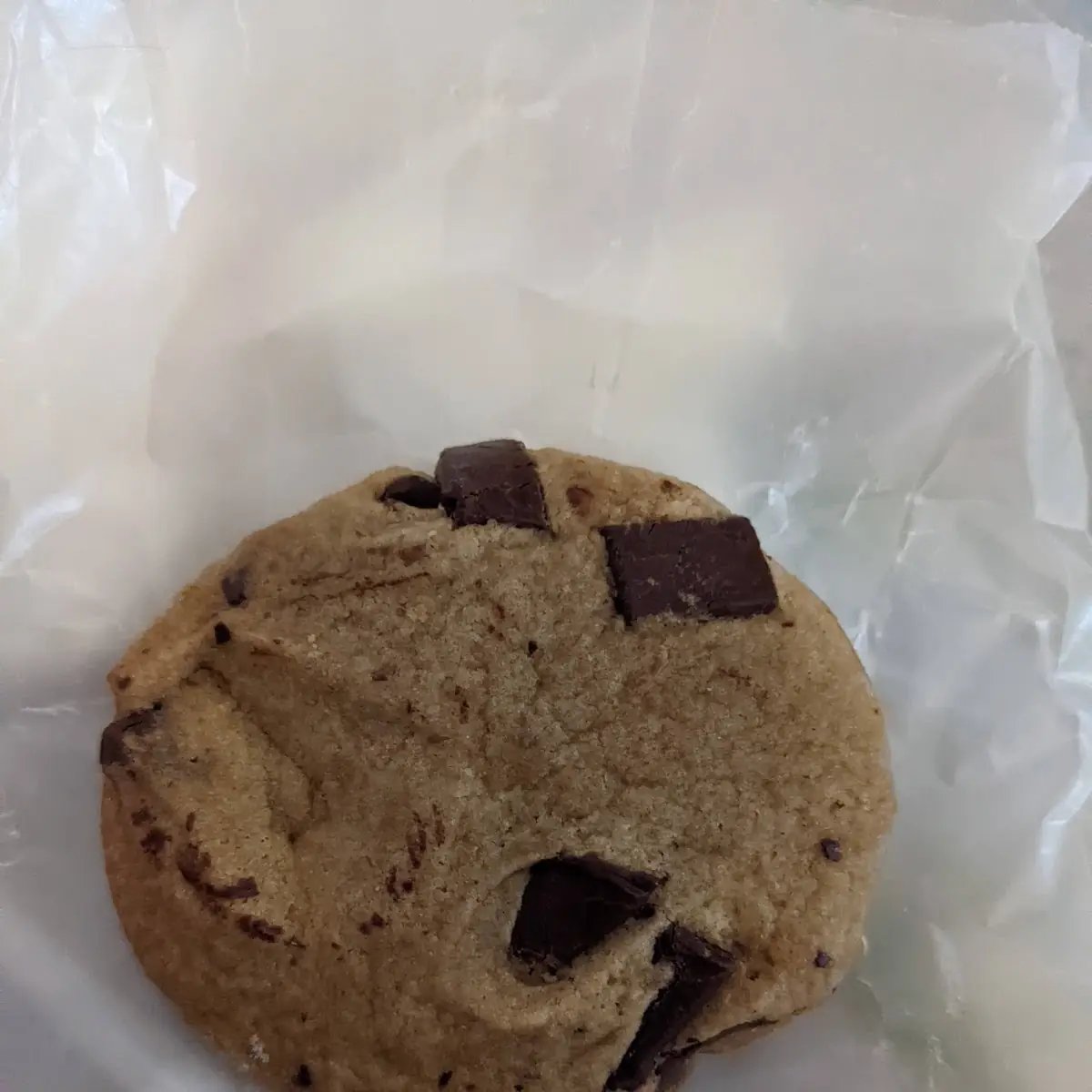 Fresh Baked Chocolate Chip Cookie
