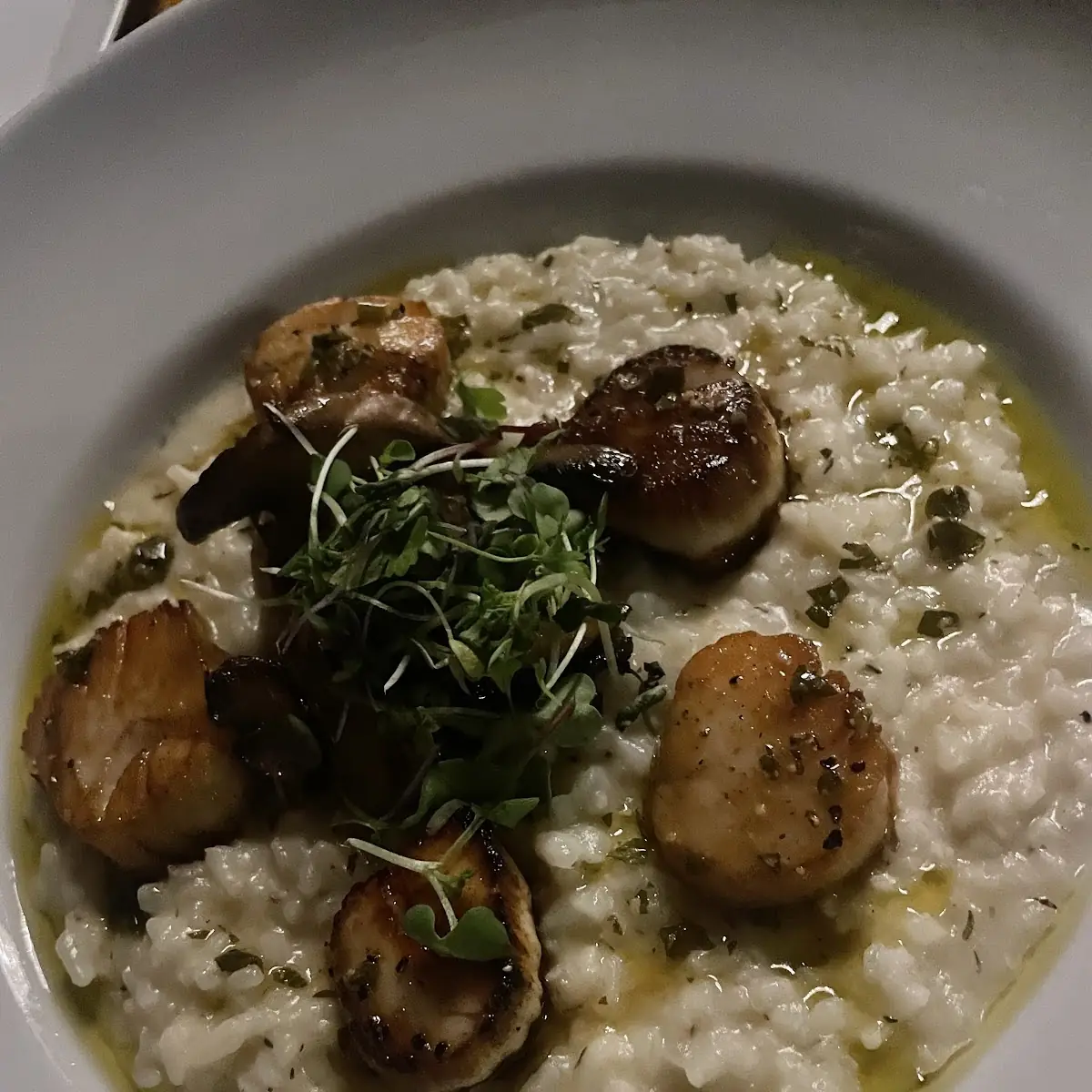 Pan Seared Sea Scallops with Risotto