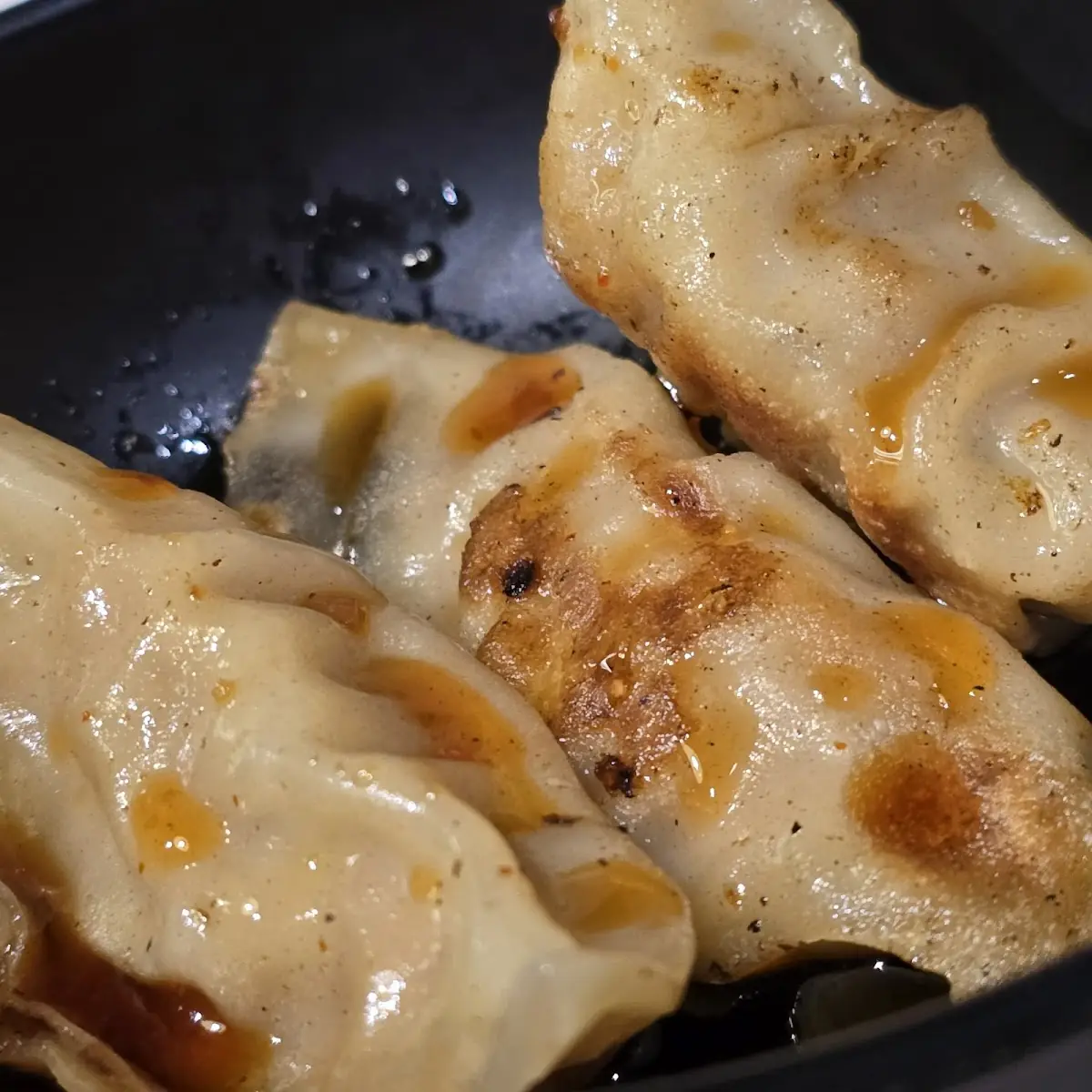 Pan Fried Pork Gyoza