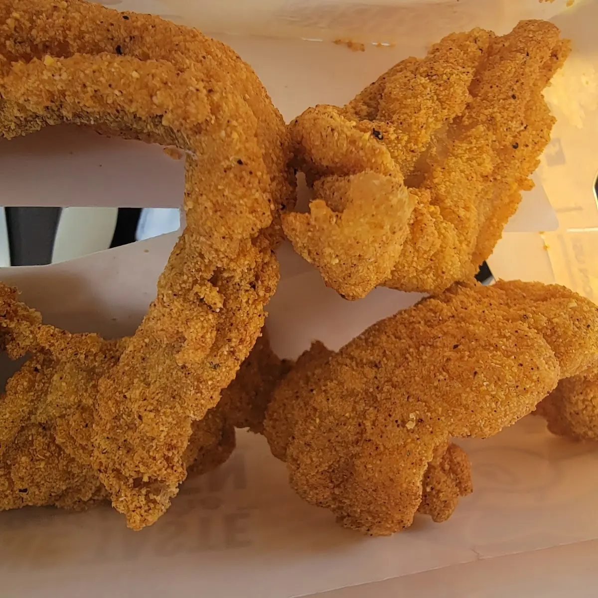 Catfish Fillet