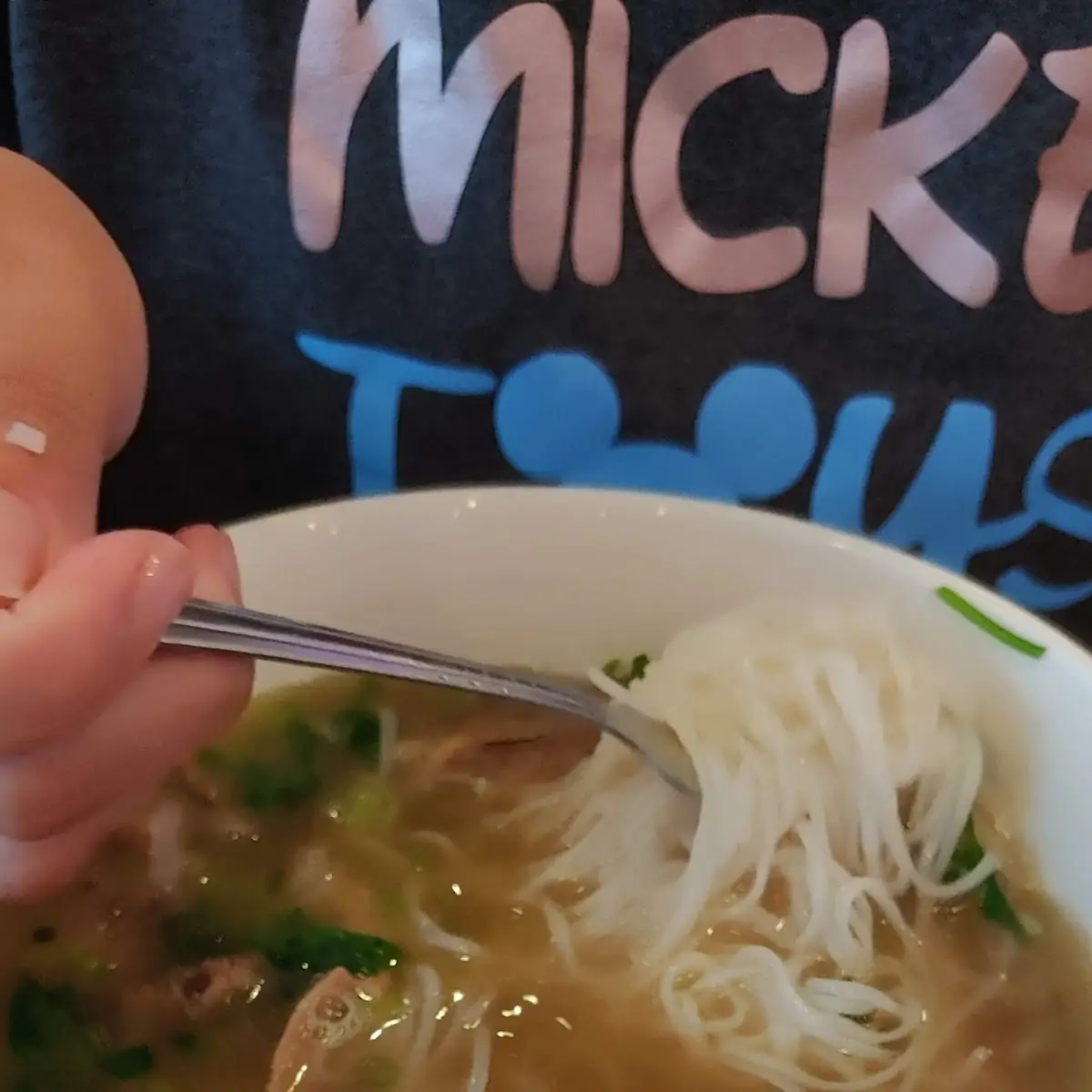 Chicken Pho
