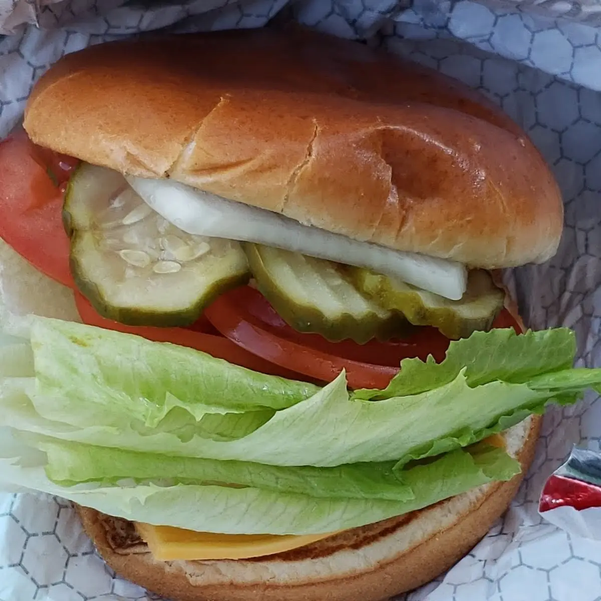 Cheese Sandwich with Extra Pickles