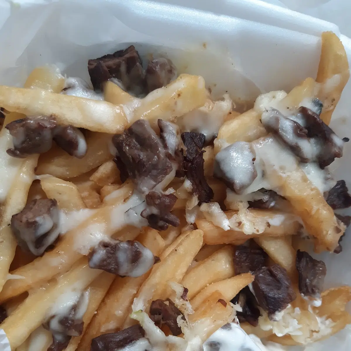 Sorry Ass Asada Fries