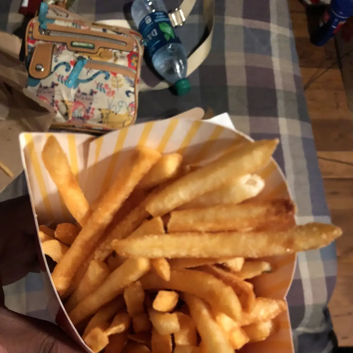 World Famous Fries