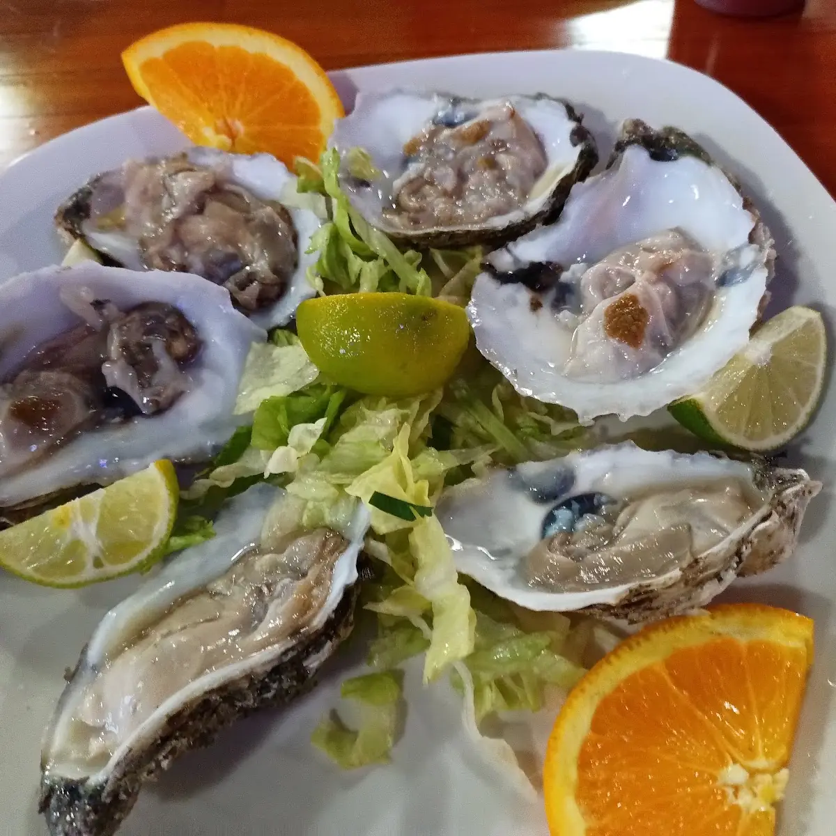 Oysters on the Half Shell