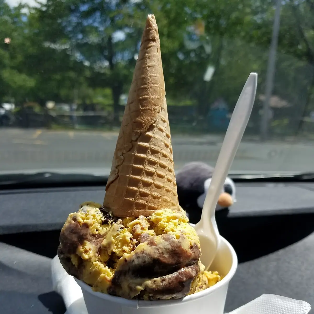 Waffle Cone