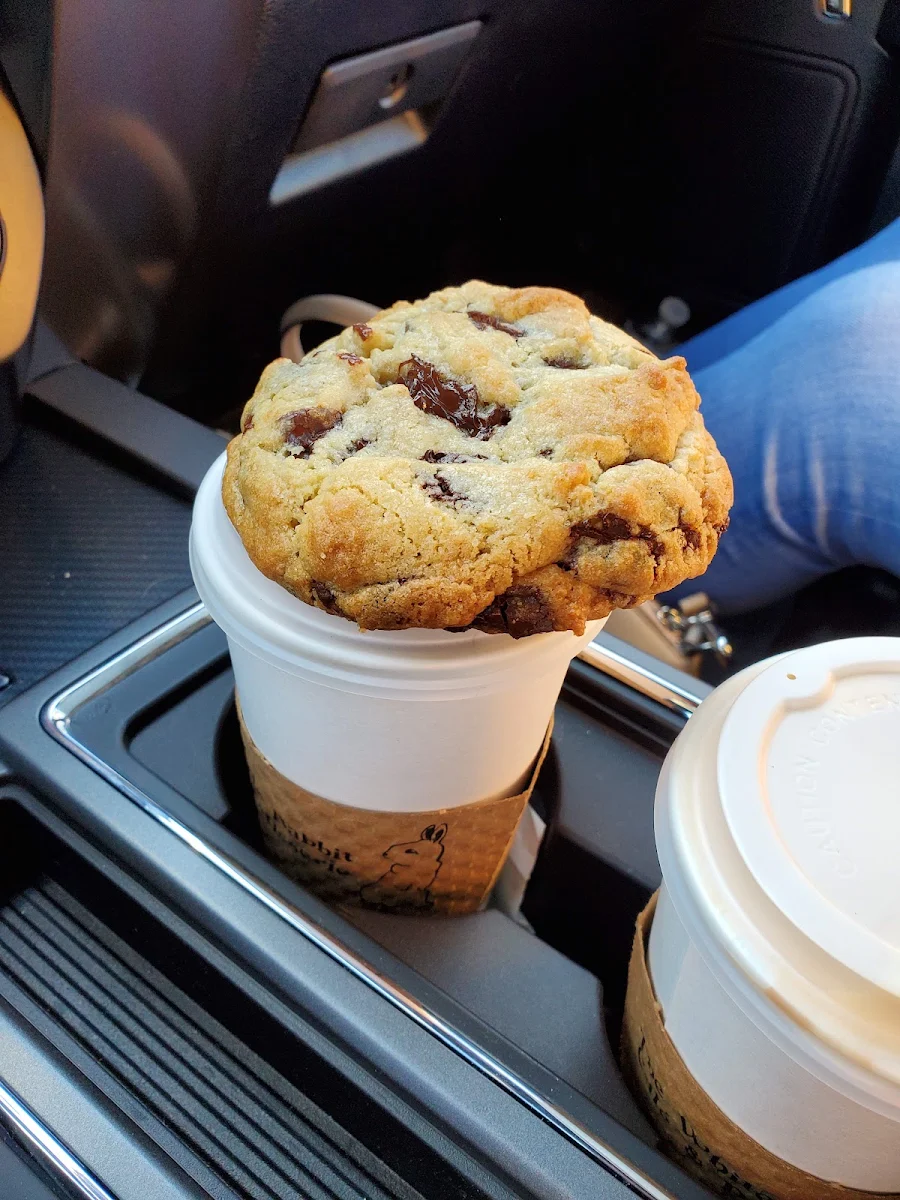 Chocolate Chip Cookie