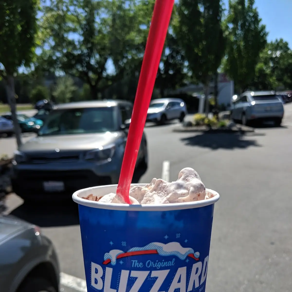 Cookie Dough Blizzard