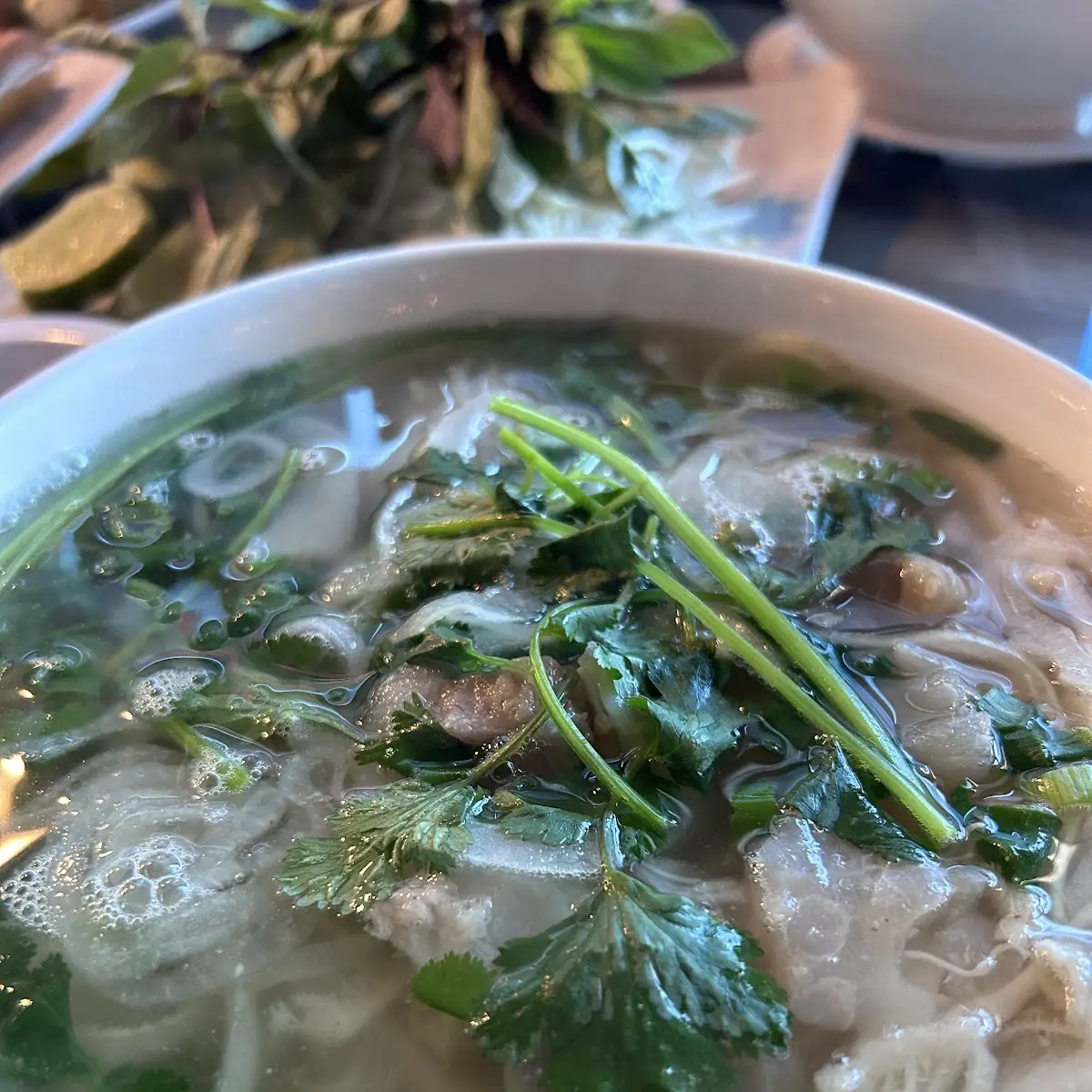 Pho Bo Small Large