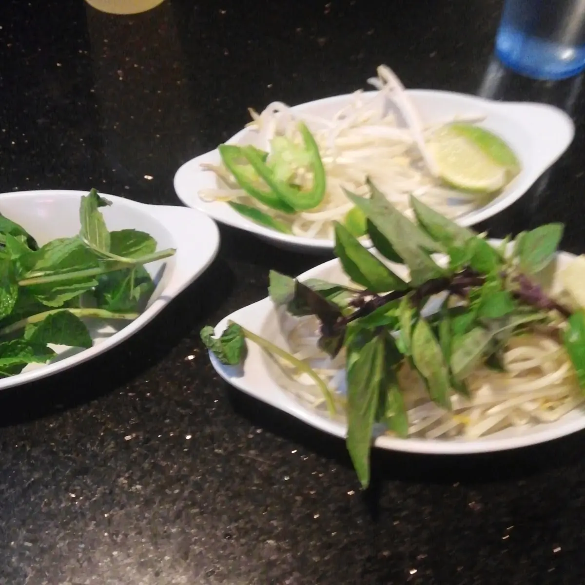 Pho GA
