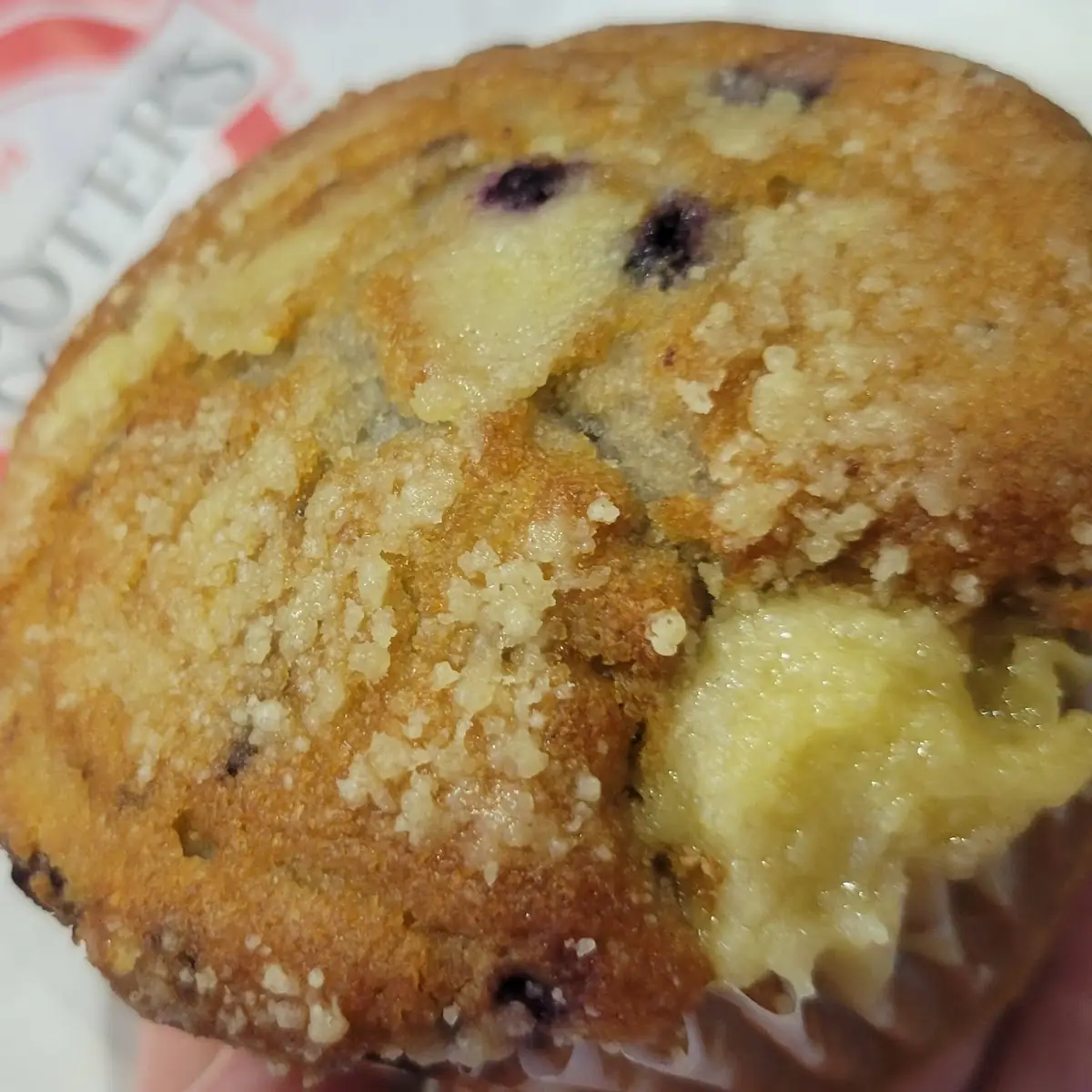 Blueberry Muffin