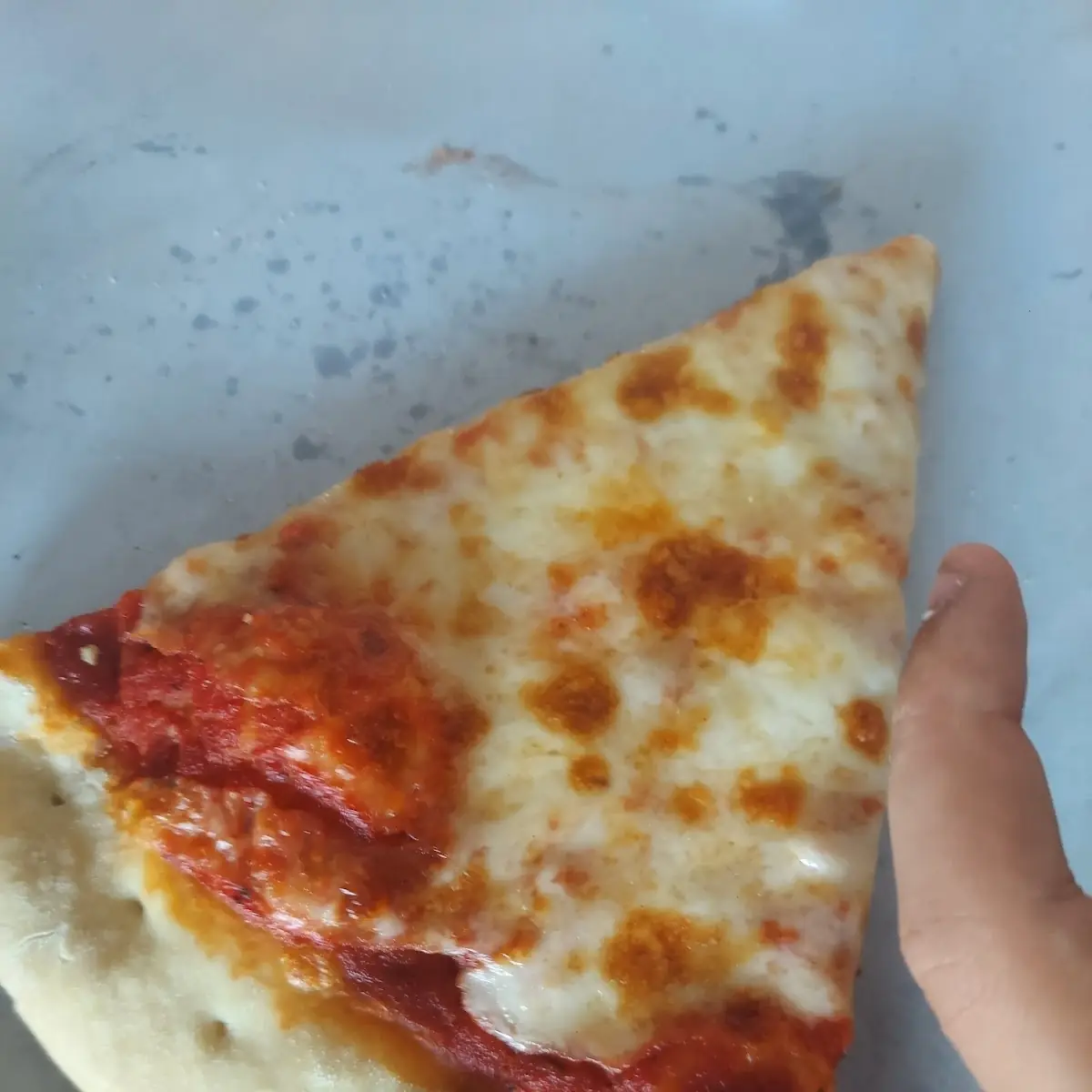 Cheese Pizza