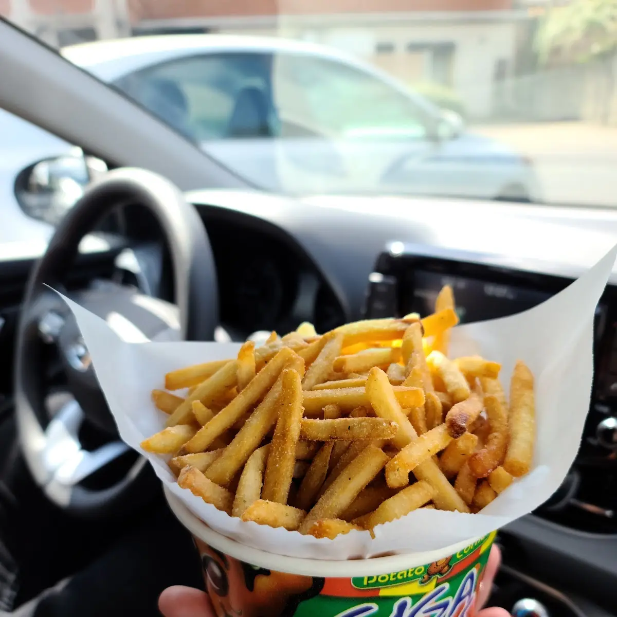 Garlic Parmesan Fries