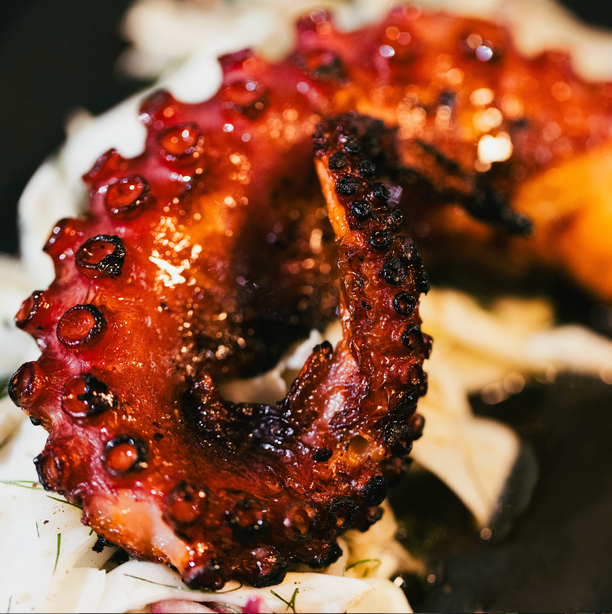 Grilled Octopus