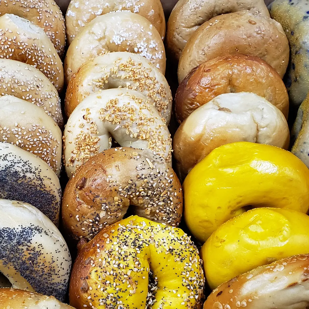 Assorted Bagels