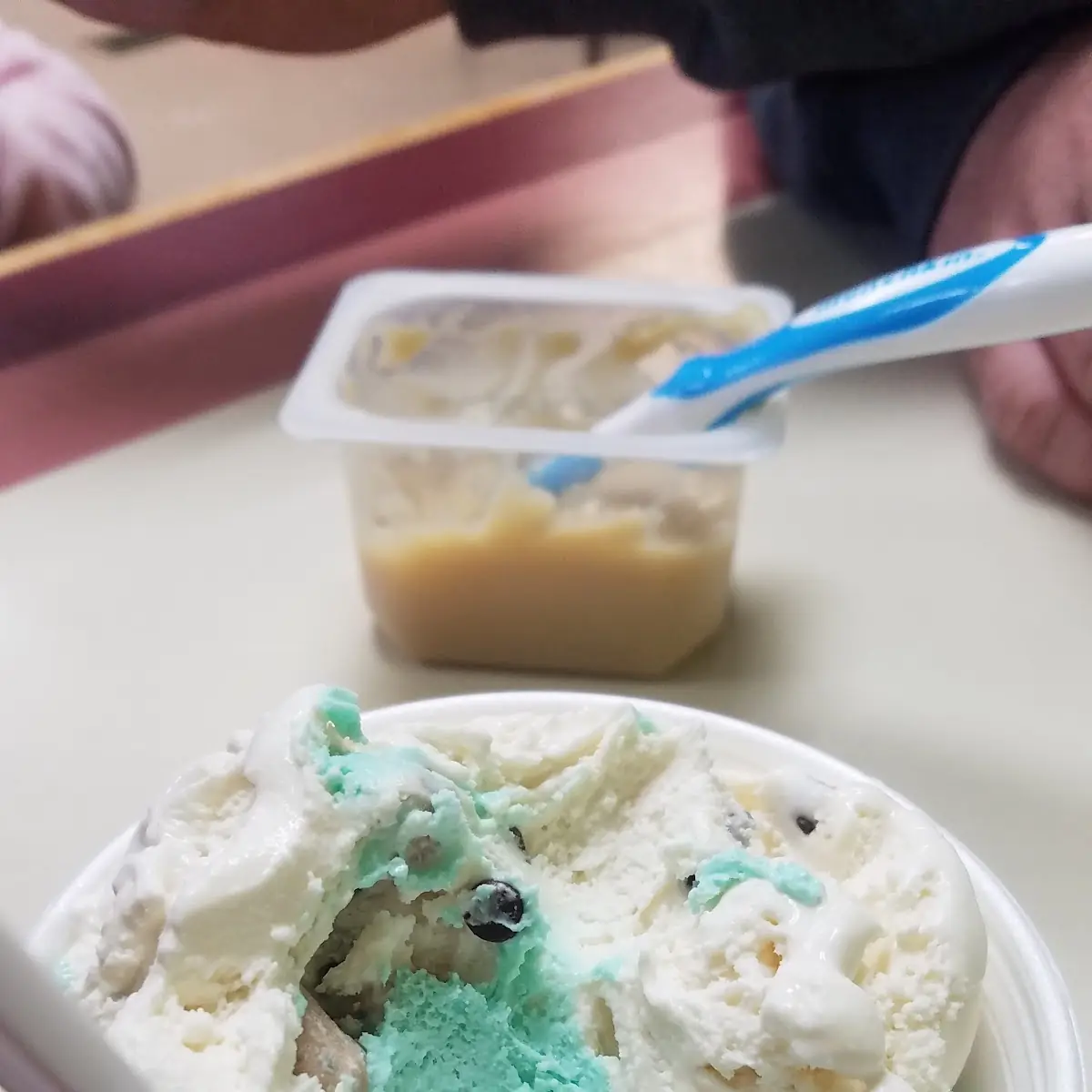 Mint Chocolate Chip and Cookie Dough