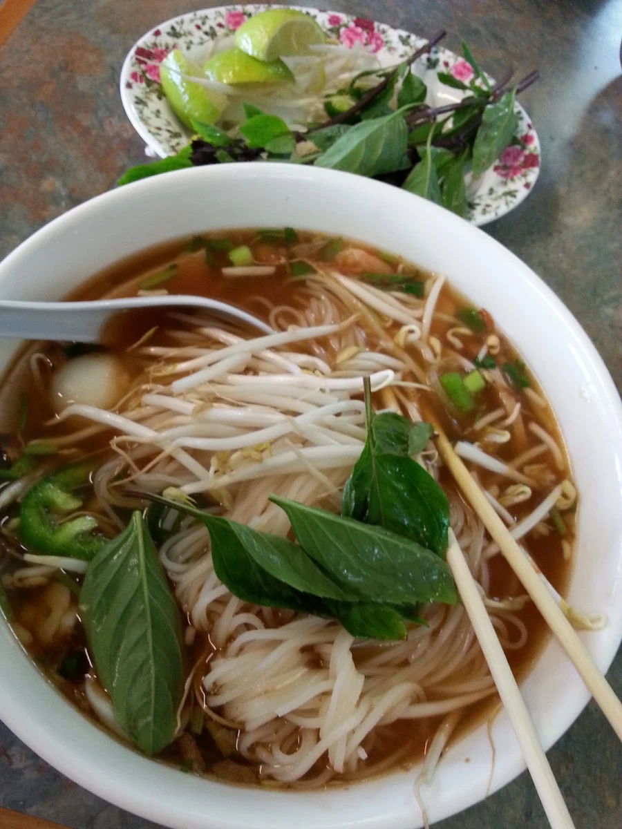 Beef Pho and Chicken Pho