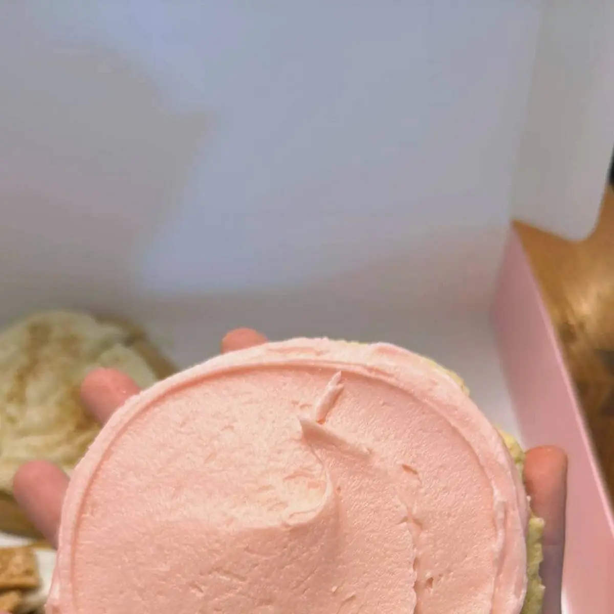 Classic Pink Sugar Cookie