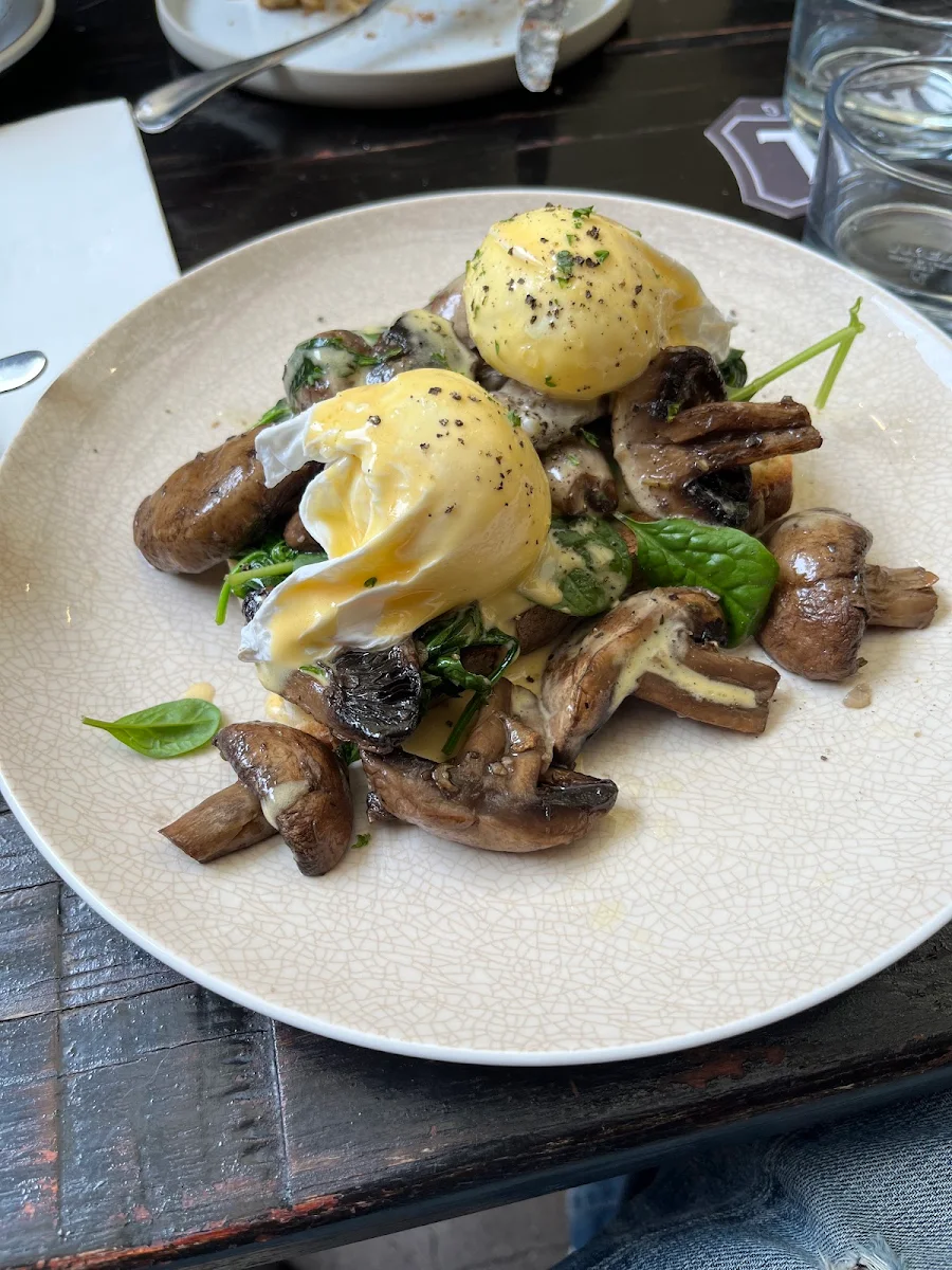 Eggs Benedict with Mushroom, Murray Mews