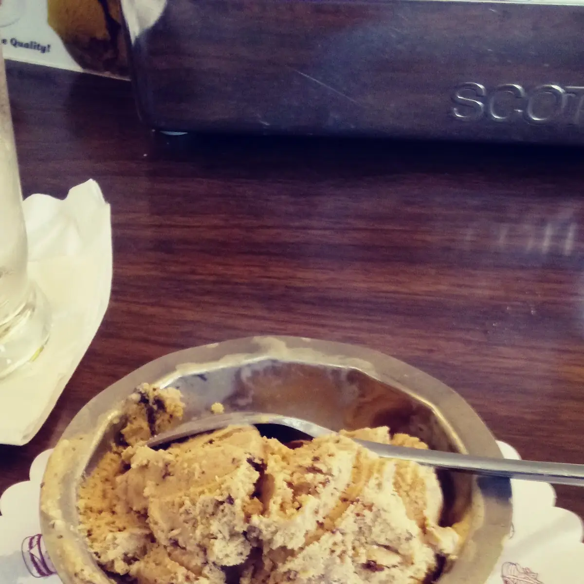 Chocolate Chip Ice Cream