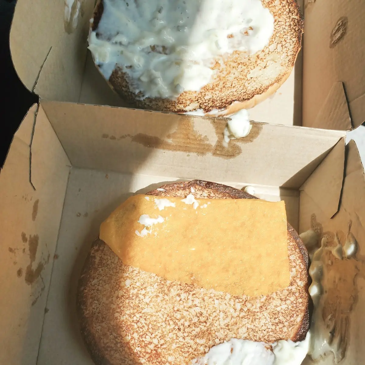 Fish Filet