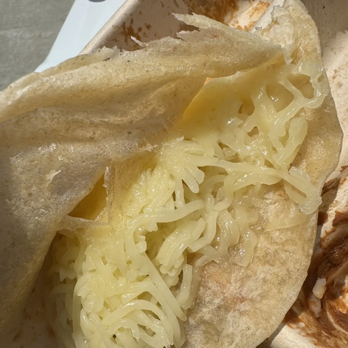 Undercooked Cheese Quesadilla