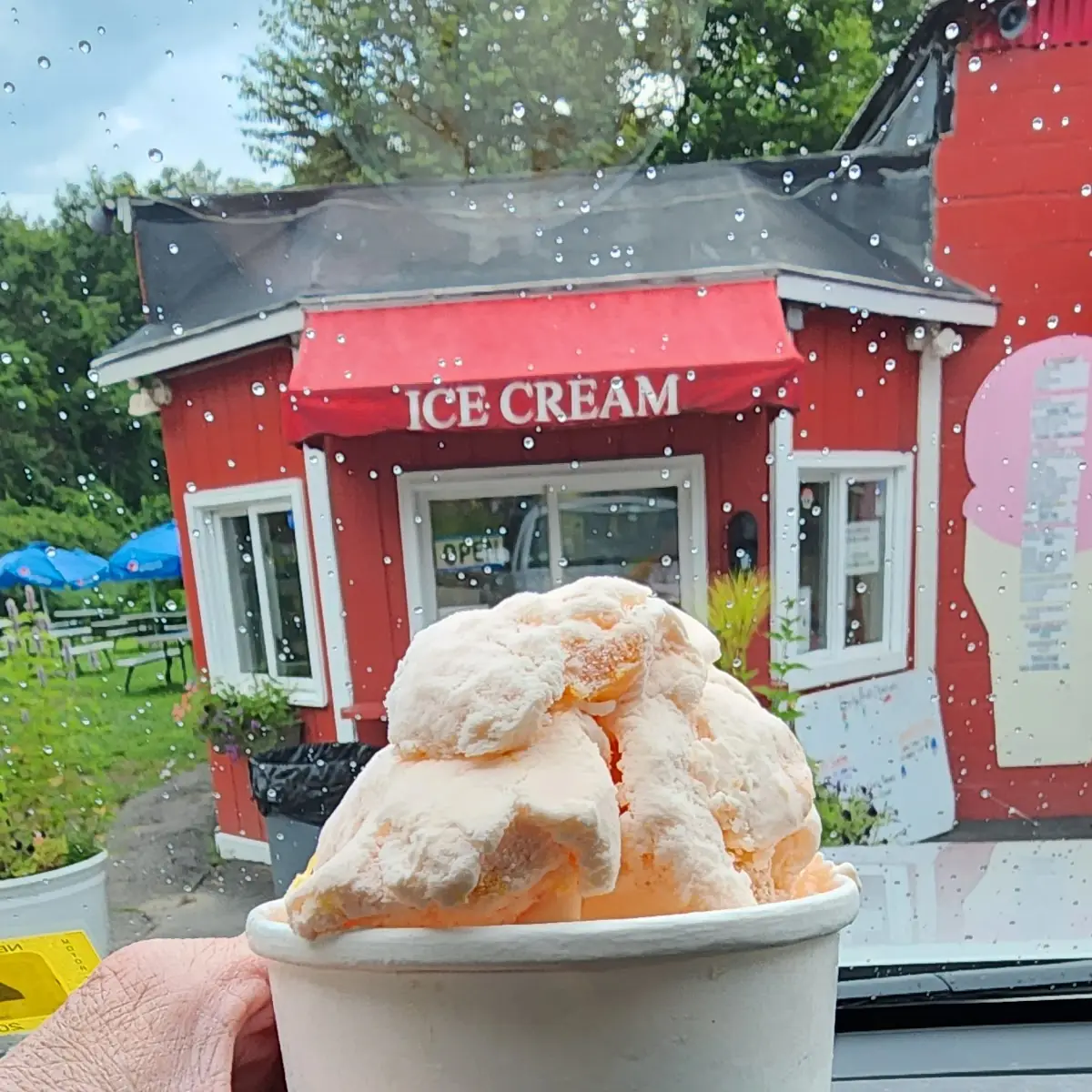 Ice Cream Pint