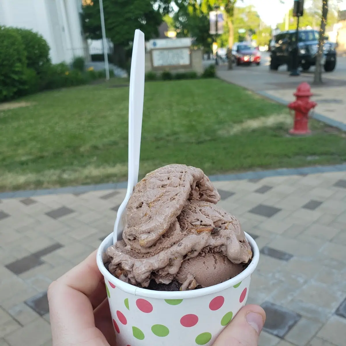 Peanut Butter Chocolate Ice Cream