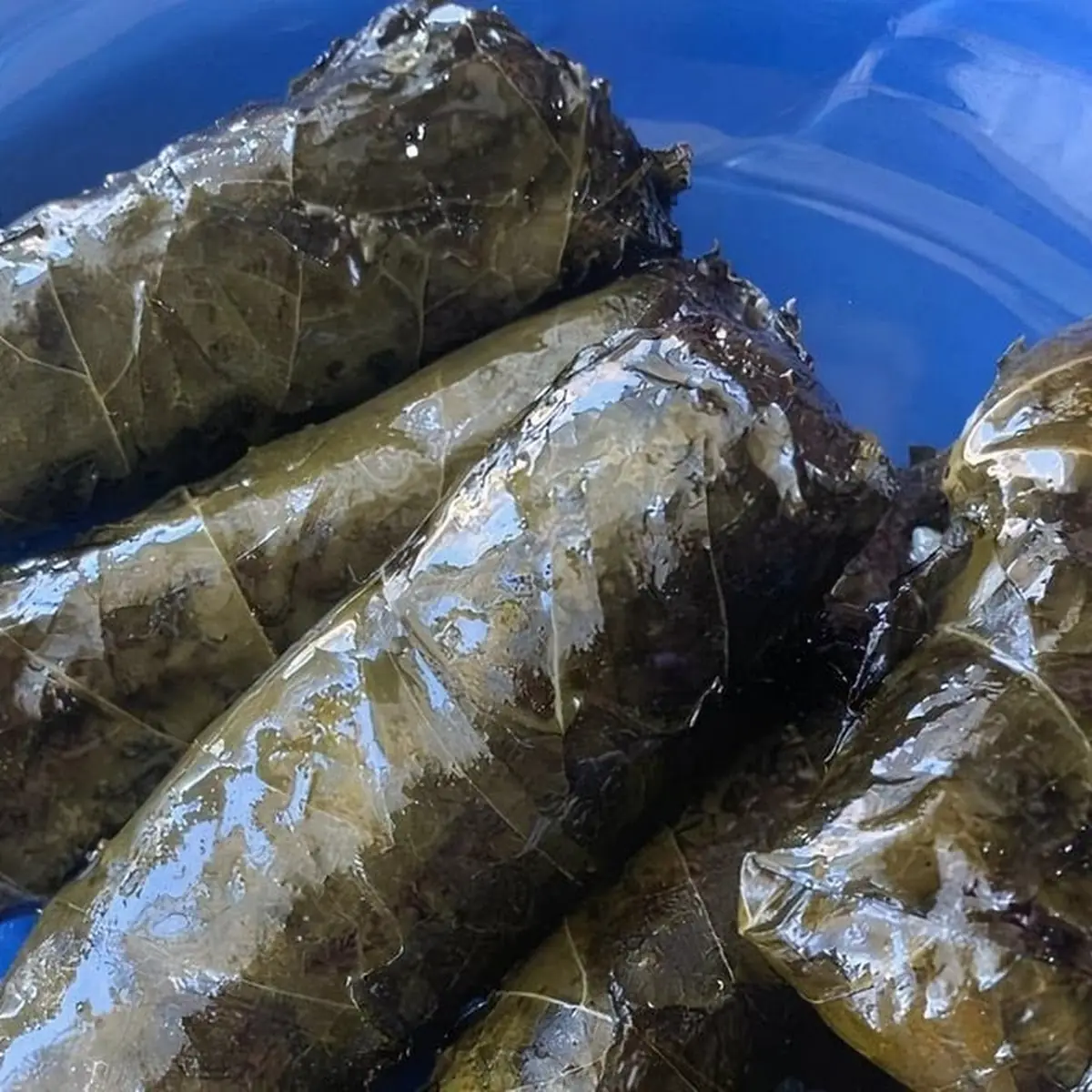 Grape Leaves Meat