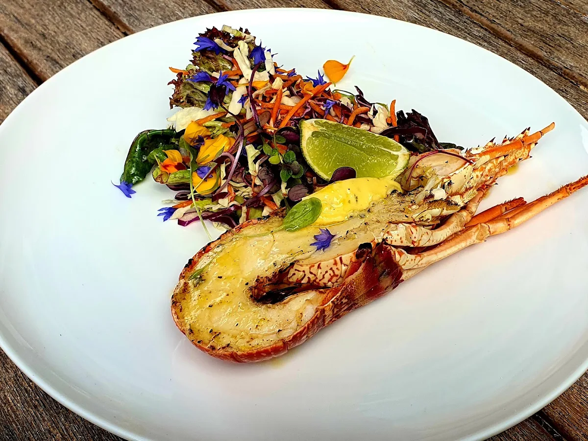 Highlights, Urban Bistro
