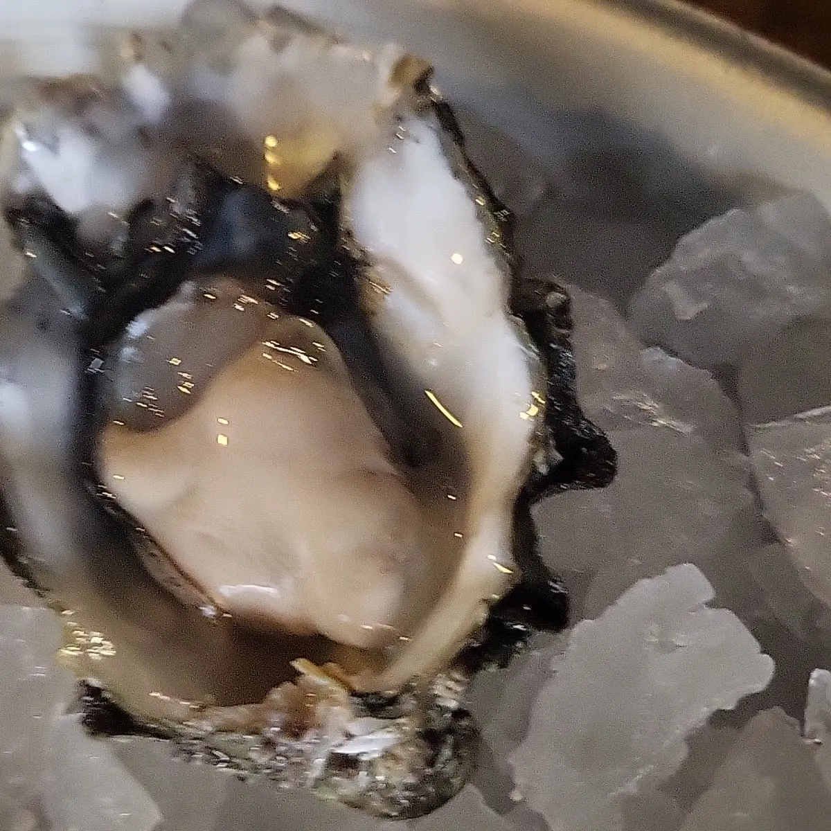 Oyster Platter