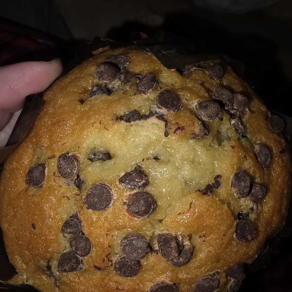 Blueberry Muffin