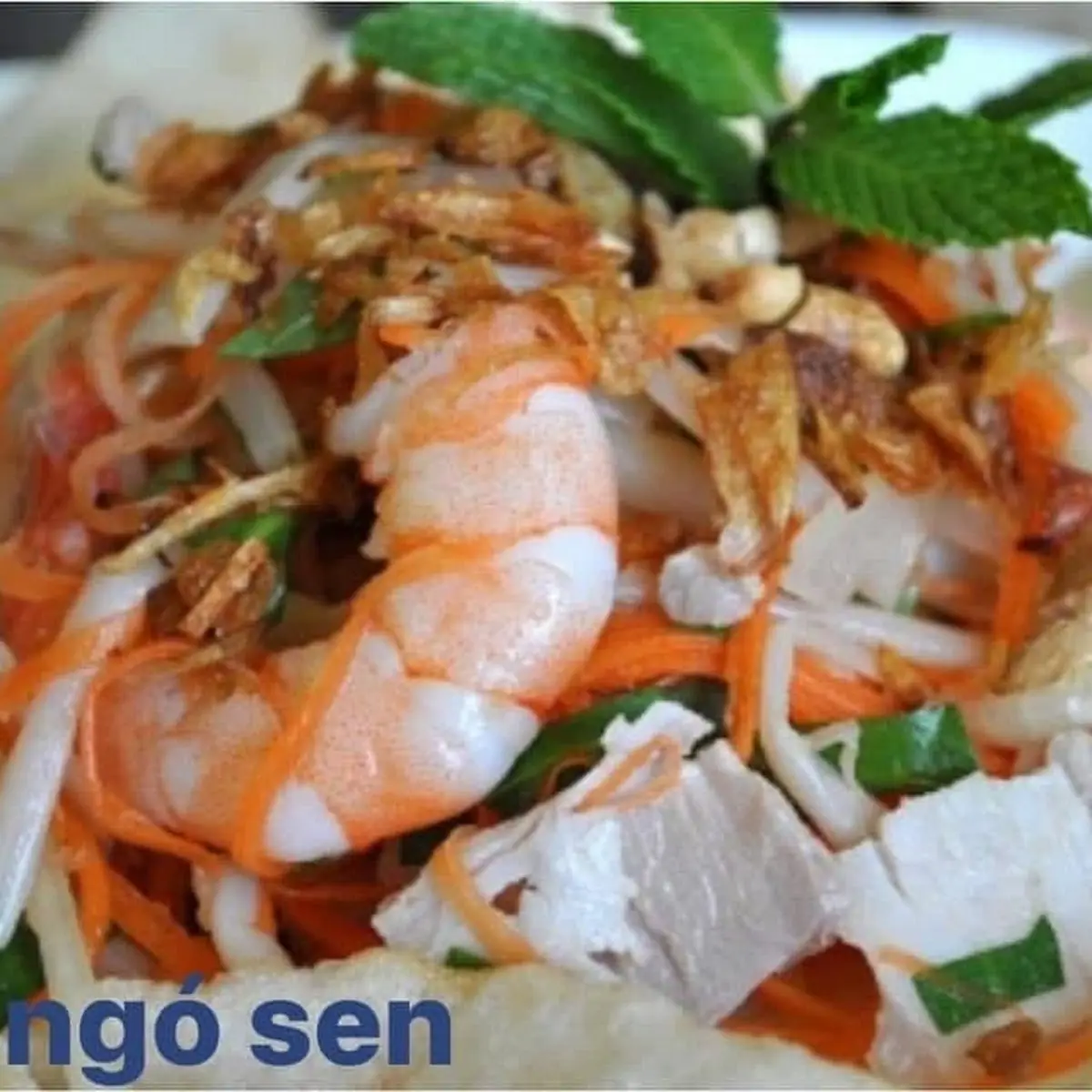 Goi Ngo Sen